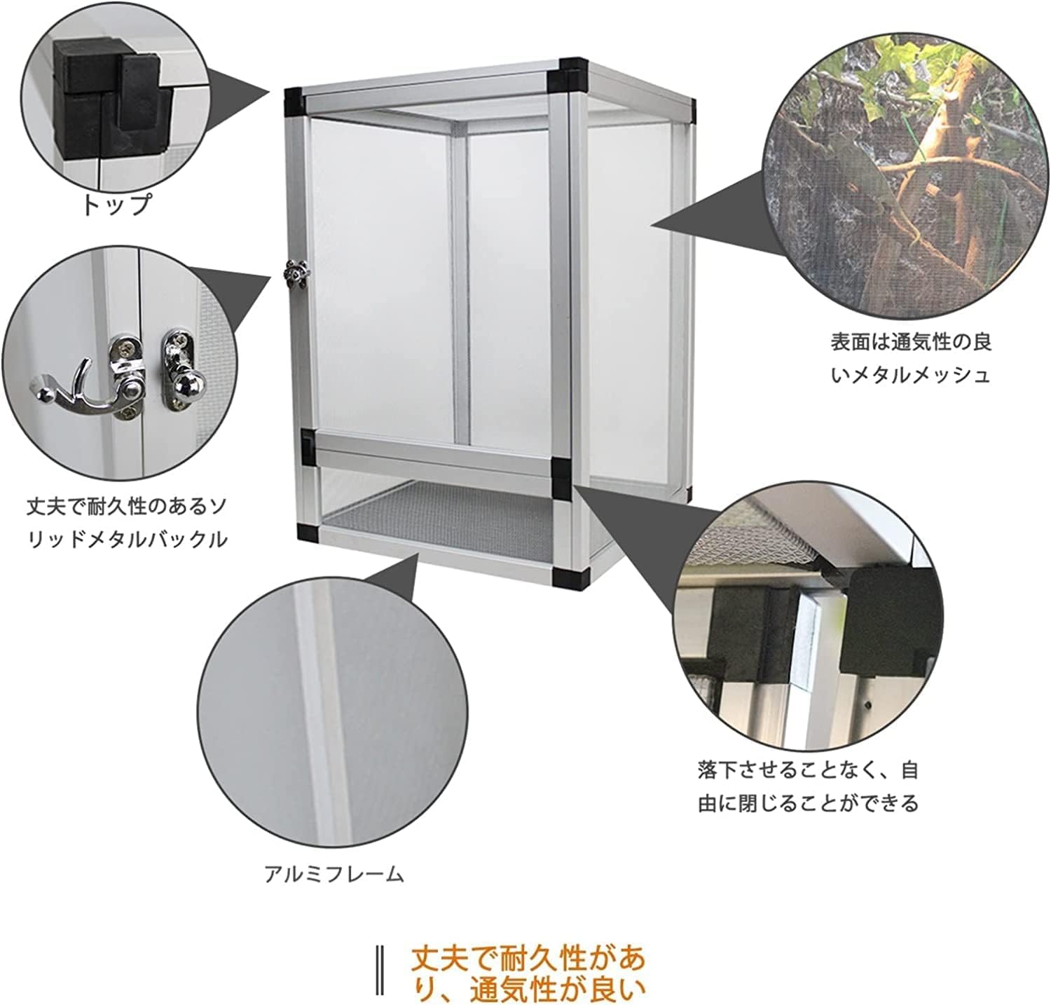 Amazon | スクリーンテラリウム、ホワイト、ブラック ペットハウスの無